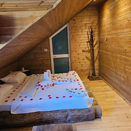 Farm stay Bujtina Guri Hanit