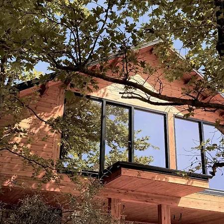 Bujtina Guri Hanit * Ferr-Shkopet