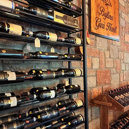 Alloggio per agriturismo Bujtina Guri Hanit Ferr-Shkopet