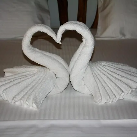 Farm stay Bujtina Guri Hanit Ferr-Shkopet