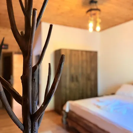 Bujtina Guri Hanit *