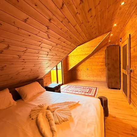 Farm stay Bujtina Guri Hanit *