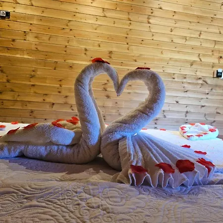 Bujtina Guri Hanit * Ferr-Shkopet