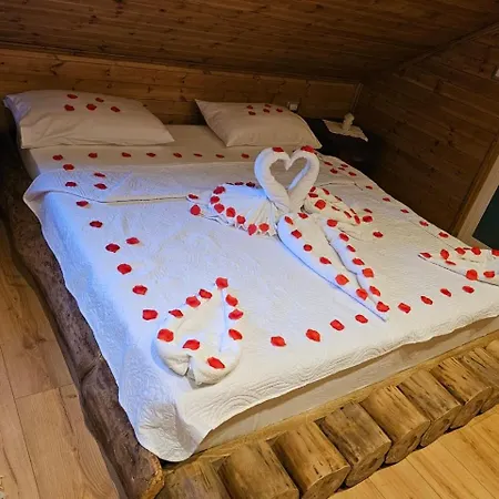 Bujtina Guri Hanit * Ferr-Shkopet