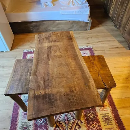 Farm stay Bujtina Guri Hanit