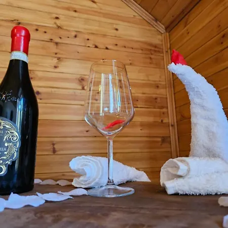 Bujtina Guri Hanit * Ferr-Shkopet