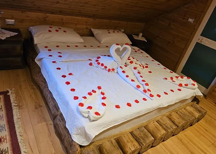 Bujtina Guri Hanit * Ferr-Shkopet