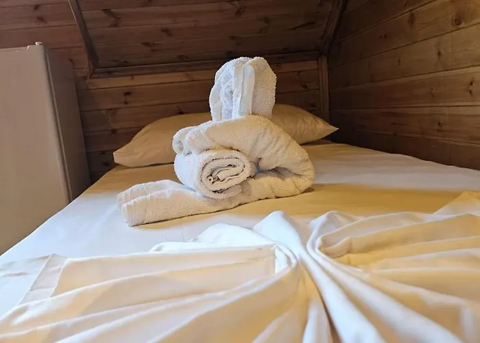 Bujtina Guri Hanit Фермерский дом