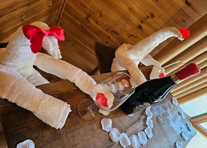 Bujtina Guri Hanit Фермерский дом