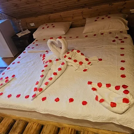 Bujtina Guri Hanit Ferr-Shkopet