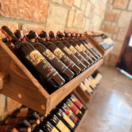 Bujtina Guri Hanit * Ferr-Shkopet