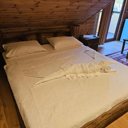 Bujtina Guri Hanit Фермерский дом