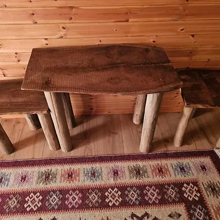 Bujtina Guri Hanit Ferr-Shkopet