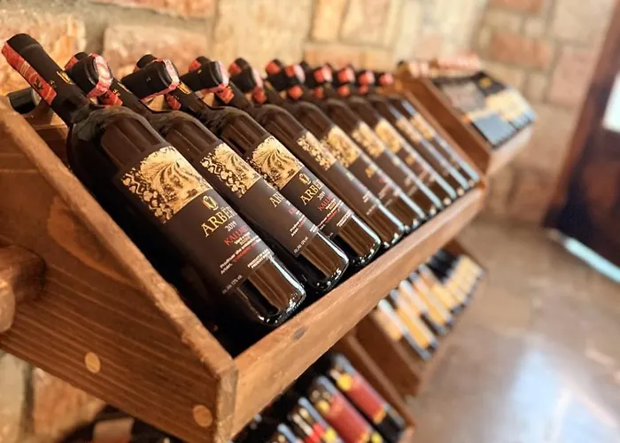 Bujtina Guri Hanit * Ferr-Shkopet