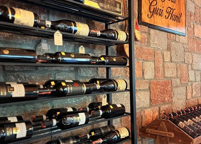 农家乐 Bujtina Guri Hanit Ferr-Shkopet