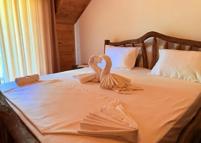 Bujtina Guri Hanit * Ferr-Shkopet