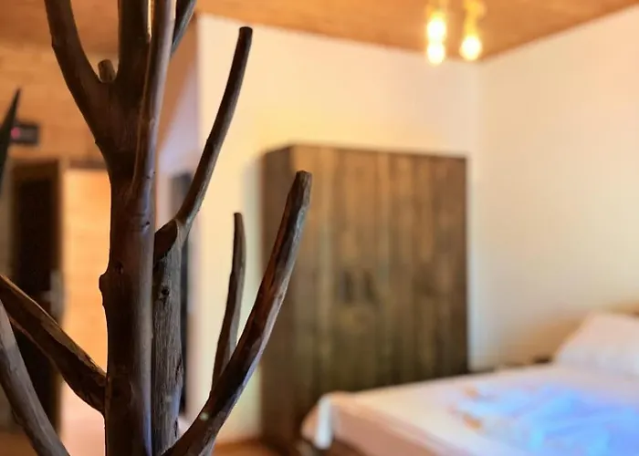 Bujtina Guri Hanit *