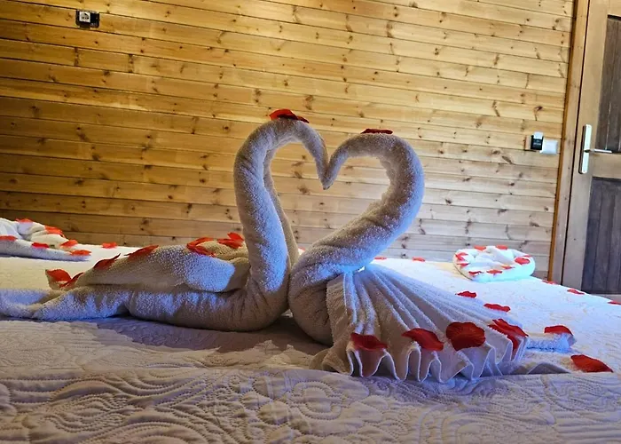 Bujtina Guri Hanit * Ferr-Shkopet