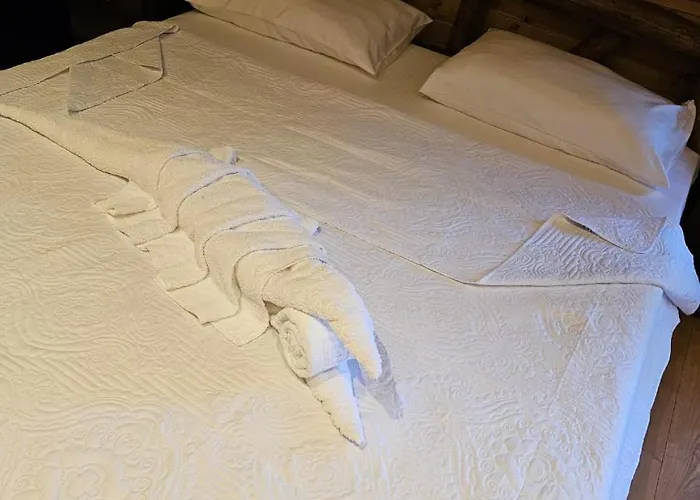 Bujtina Guri Hanit 农家乐 *