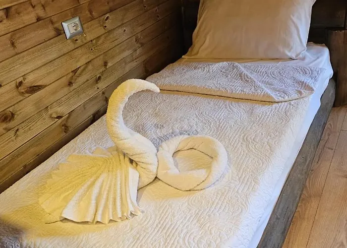 Bujtina Guri Hanit ファームステイ